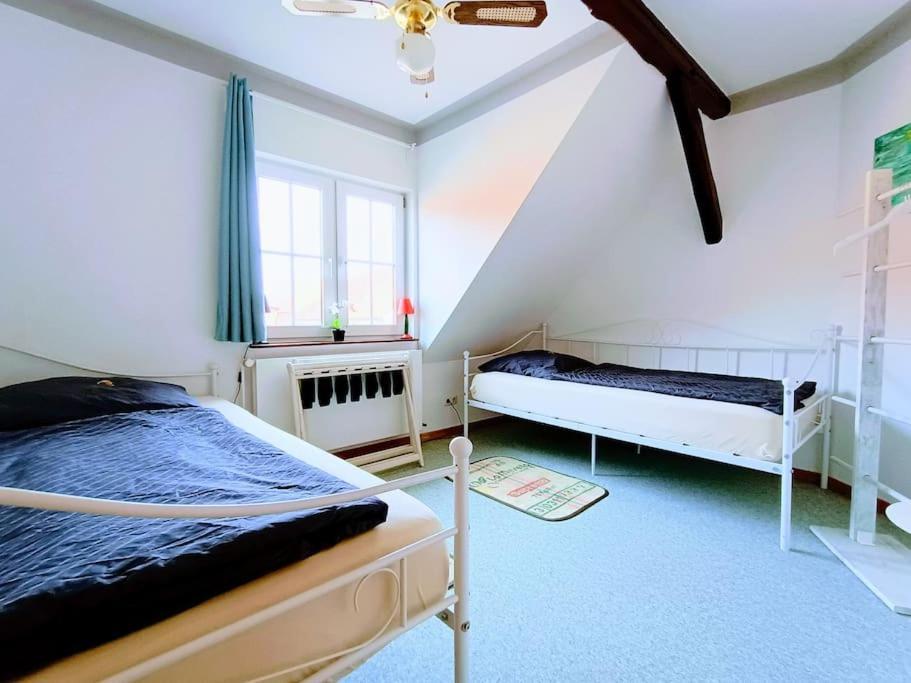 Ruhiges Exzellenz-Appartement Diana Im Elb-Urstromtal - Fast Wlan, Good For Long-Terms Bleckede Dış mekan fotoğraf