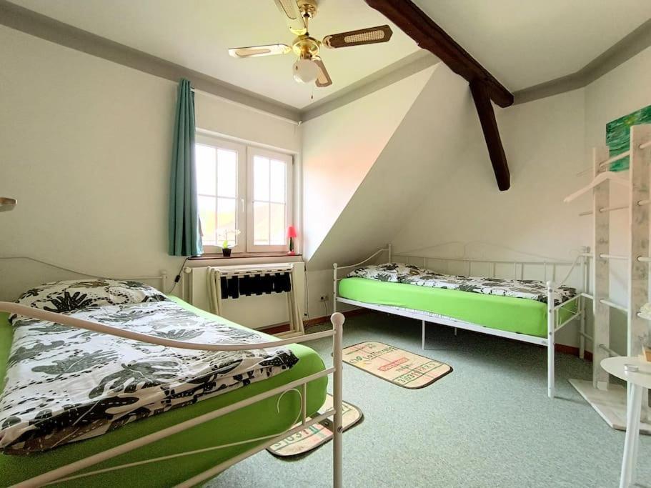 Ruhiges Exzellenz-Appartement Diana Im Elb-Urstromtal - Fast Wlan, Good For Long-Terms Bleckede Dış mekan fotoğraf